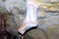 11-Stalactite-that-looks-like-an-amputated-foot-back-view