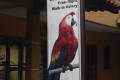 02-Kuala-Lumpur-Bird-Park-KLBP