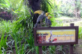 08-Kuala-Lumpur-Bird-Park-KLBP