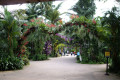 05-Entrance-to-Jurong-Bird-Park-SG-2011