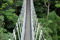 18-Bridge-in-Lory-Loft-walk-in-aviary-2010