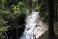 033-TR-Quality-Creek-falls