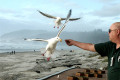 055-Feeding-seagulls-at-Cannon-Beach