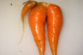 Carrot-Ninas-funky-homegrown