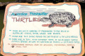 011-freshwater-turtle-info