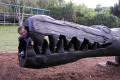 054-in-the-jaws-of-a-log-croc