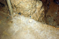 68A-A-baby-Stalagmite-forming