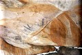 013-Aboriginal-rock-painting-Site-1b-tn-retry