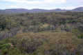 042-Looking-down-into-Wilpena-Pound-from-Wangara-lookout