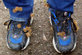 Bidgee-Widgee-seeds-on-shoes