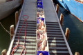 017-Fish-on-conveyor-belt-at-Lakes-Entrance-Fishing-Co-Op