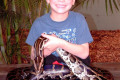 031-holding-Burmese-python-at-Australia-Zoo