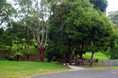 Gunns Plains Caves - Gunns Plains, TASMANIA