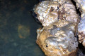 45-speleothem-in-underground-river