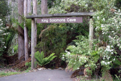 King Solomon - Mole Creek, TASMANIA