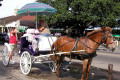037-Horse-drawn-carriage-for-tourists