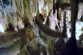 17-Marakoopa-Cave