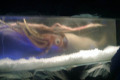 005-Giant-Squid-exhibit