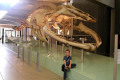 061-Blue-Whale-skeleton