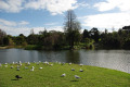 Ornamental-Lake-view-1