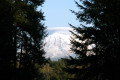 050-Cloud-blanket-over-Mt-Rainier-from-Angels-home-1