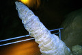 29-Newdegate-Cave-Stalagmite