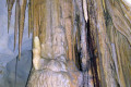 33-Ironbark-tree-roots-growing-through-cave-ceiling