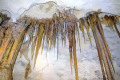 42-Assorted-speleothems-on-cave-ceiling