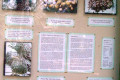 025-NT-Alice-Springs-Mecca-Date-Farm-info-board