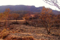 060-WA-Bungle-Bungle-wildfire-aftermath