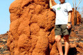 067-One-of-numerous-termite-mounds-in-the-Bungle-Bungle