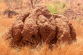 069-Termite-mound