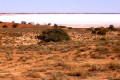 090-SA-Lake-Hart-salt-lake