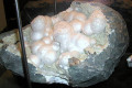 Okenite-India-specimen