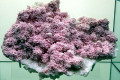 Rhodochrosite-2