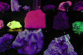 Zany-Glow-in-the-dark-minerals-display