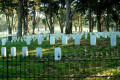 040-SF-National-Cemetary-in-Old-Presidio-Army-Base