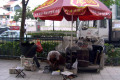 013-Boat-Quay-Chinese-cobbler