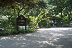 Singapore National Orchid Garden - 2004