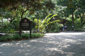 001-Singapore-Botanic-Gardens