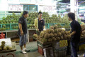 029-D24-durians