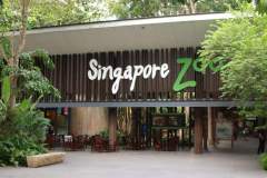 SINGAPORE Zoo  - Sep 2010