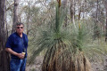 Strathbogie-a-Tree-Grass-along-walking-track