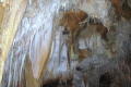 14-Assorted-speleothems-on-cave-ceiling