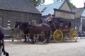 Sovereign-Hill-horse-n-carriage-1