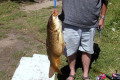 Tambo-River-carp-hubby-caught-01