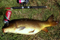 Tambo-River-carp-hubby-caught-02