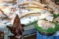 035-Pike-Market-monk-fish