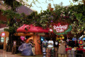 050-Rainforest-Cafe-2