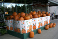 003-Pumpkins-4-Halloween-10-Oct